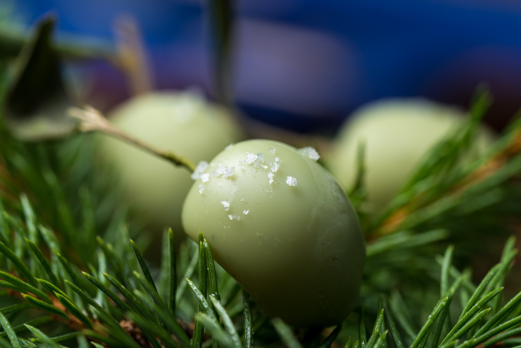 Kopija datoteke KINOTEKA_ LISTOPAD_2020_0019_ZBA8367